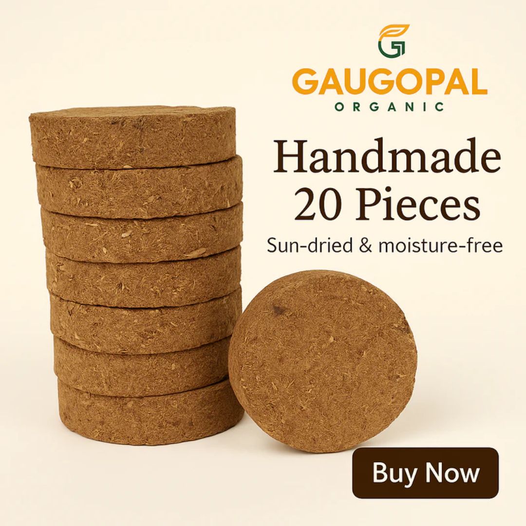  Buy Cow Dung for Sale – Organic Fertilizer & Traditional Use | GauGopal Organic