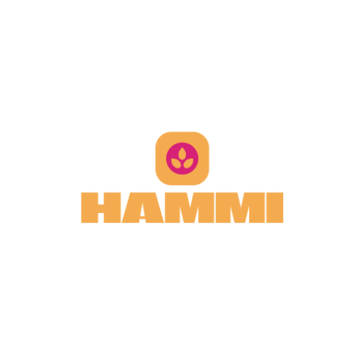  hammi নিয়ে আলোচনা: এটি আসলে কী এবং কেন এত আলোচনা?