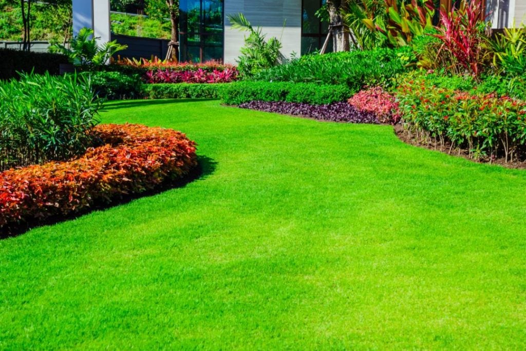  Natural Grass Adelaide