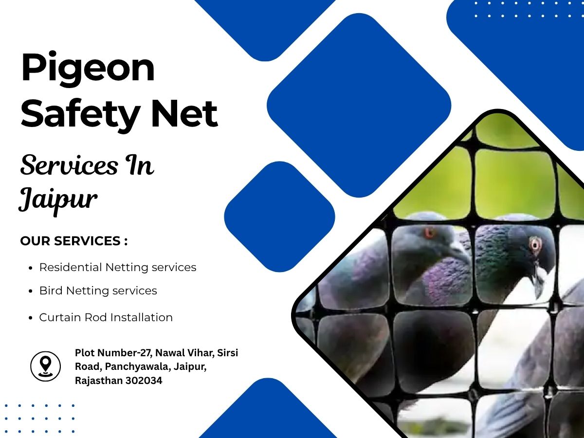 Pigeon Safety Net in Jaipur Services