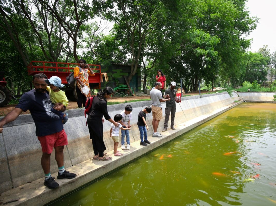  One-Day Family Getaway at The Big Barn Nature Camp
