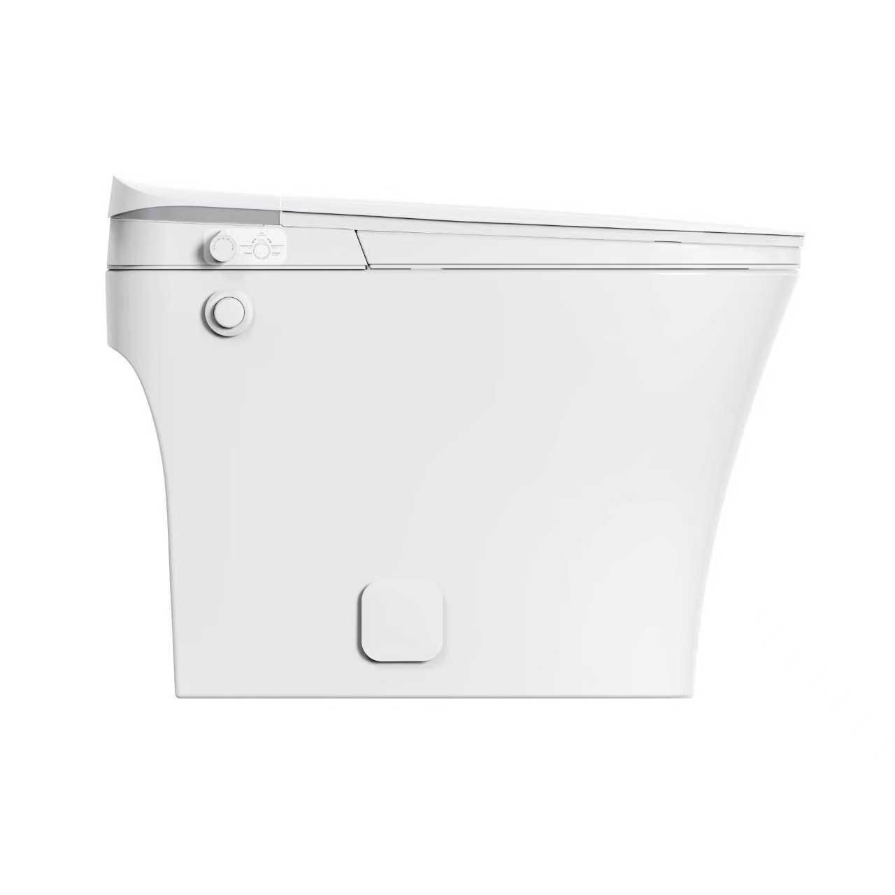  BioGiene – Smart Bathroom Hygiene, Redefined