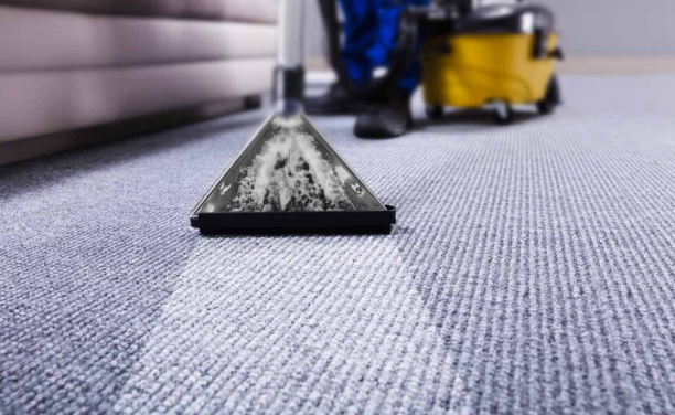  Carpet Cleaning Coral Gables | Stain & Odor Removal Experts