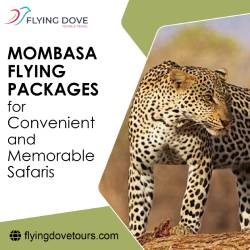  Mombasa Flying Packages for Convenient and Memorable Safaris