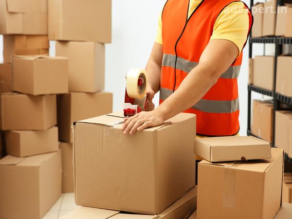  Fedex Gurgaon