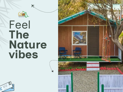  Pangot Tree House: Experience a Unique Stay Amidst Nature Near Nainital