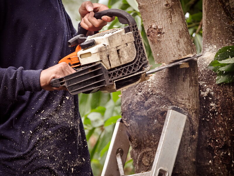  Tree Service Perrysburg - Professional, minimal-impact tree care serving Perrysburg and Northwest Oh