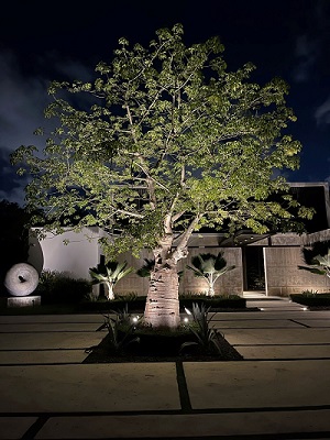  Outdoor Lighting in Miami