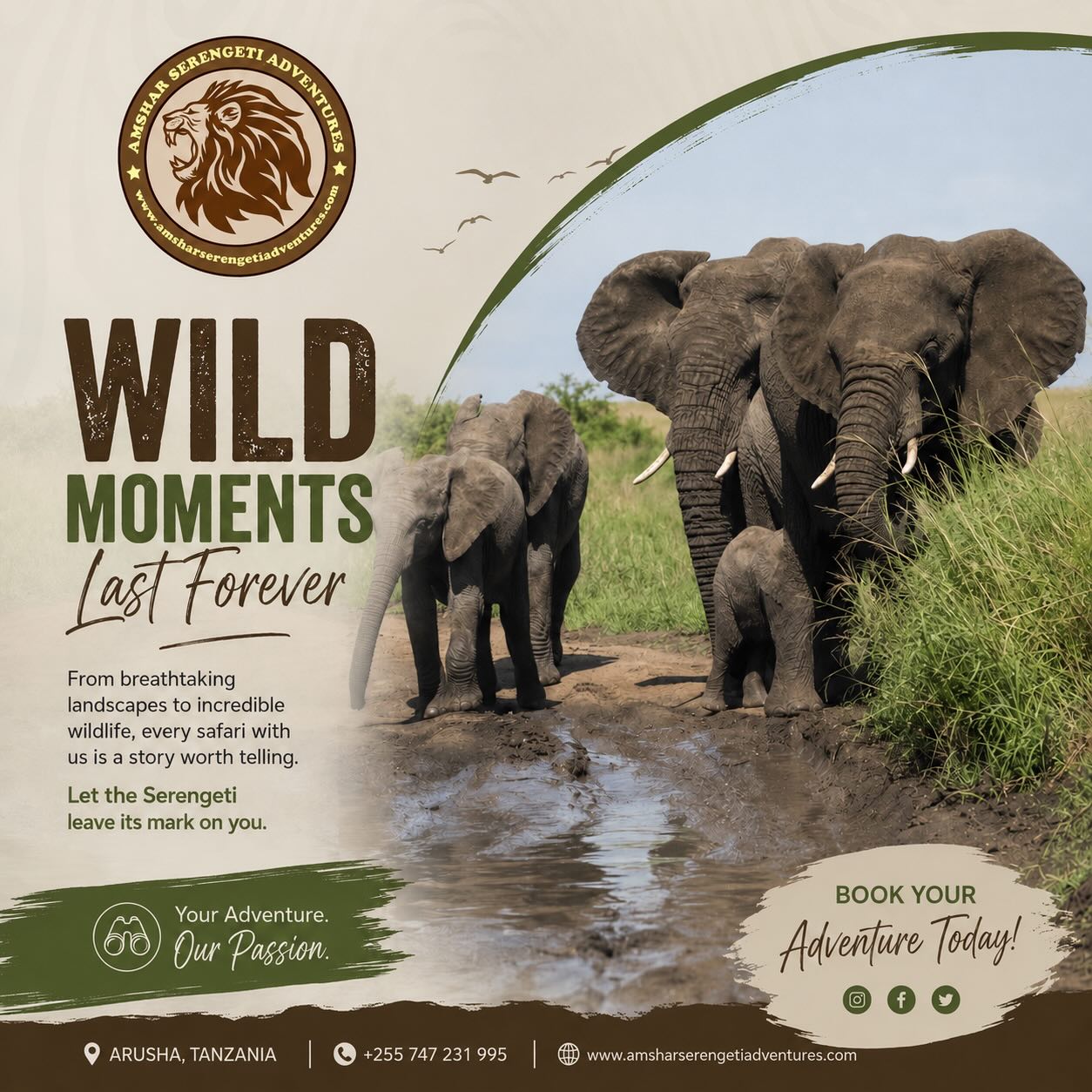  All Inclusive Africa Safari Tours Tanzania