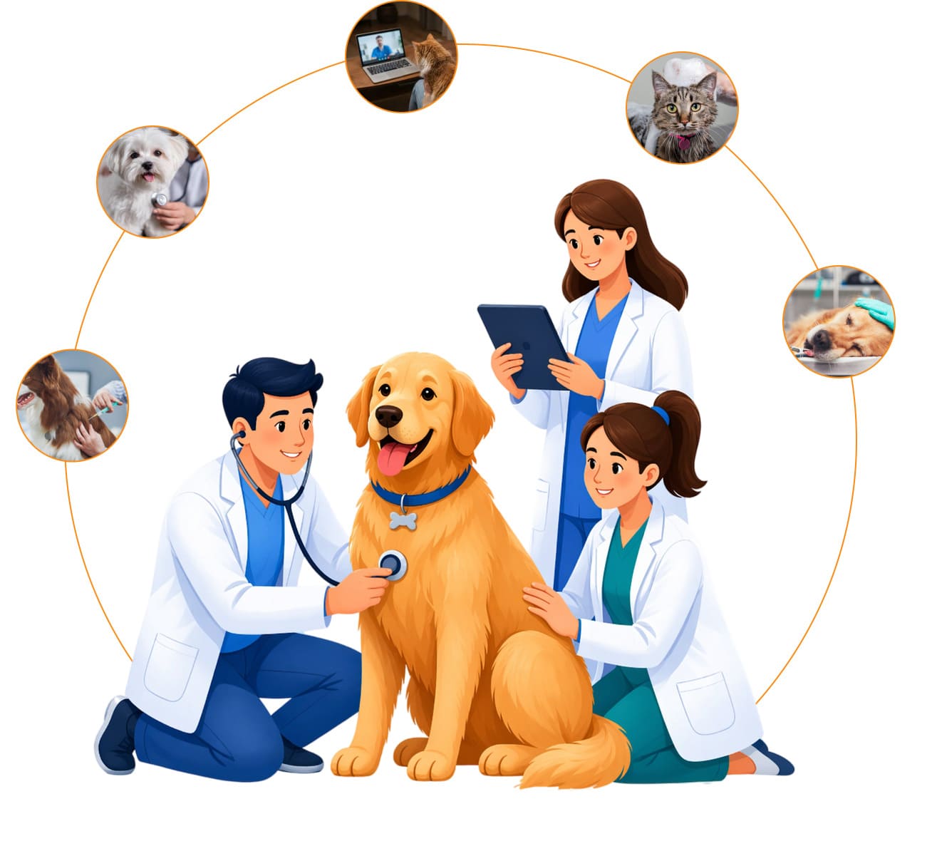  Get an Online Vet Consultation in 30 Seconds