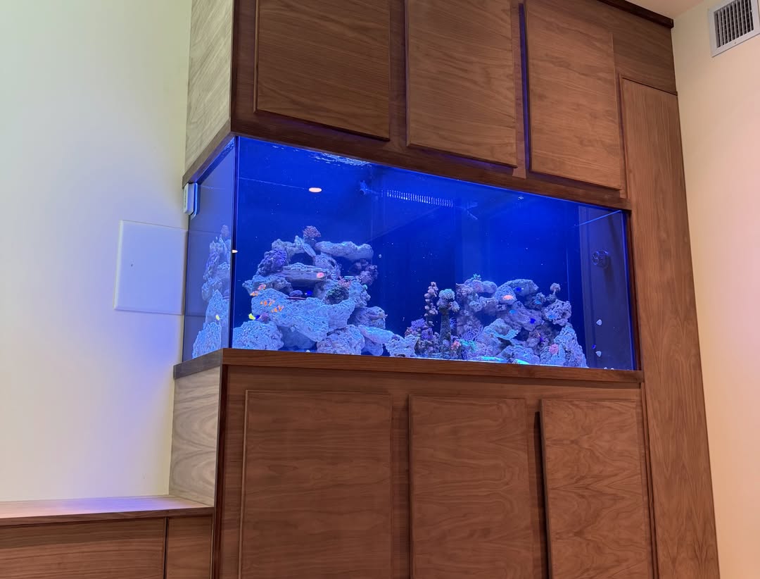  CUSTOM LUXURY AQUARIUMS BY JK-Fish