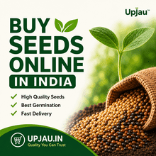  Buy Seeds Online In India – Premium Quality Seeds at Upjau