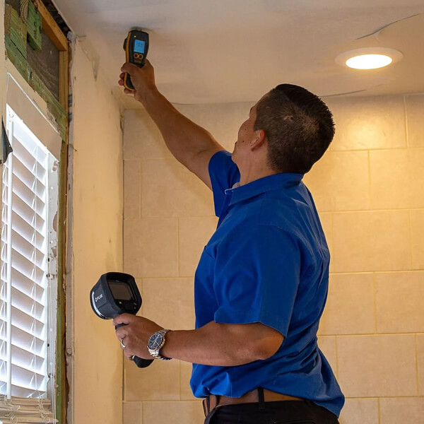  Professional Mold Testing Services for Homes & Businesses