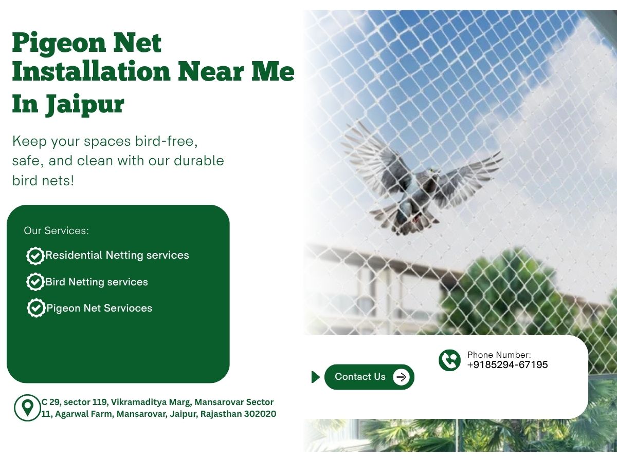  Fast Pigeon Net Services Near Me in Jaipur