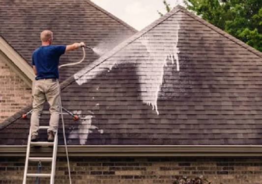 Professional Residential Roof Cleaning