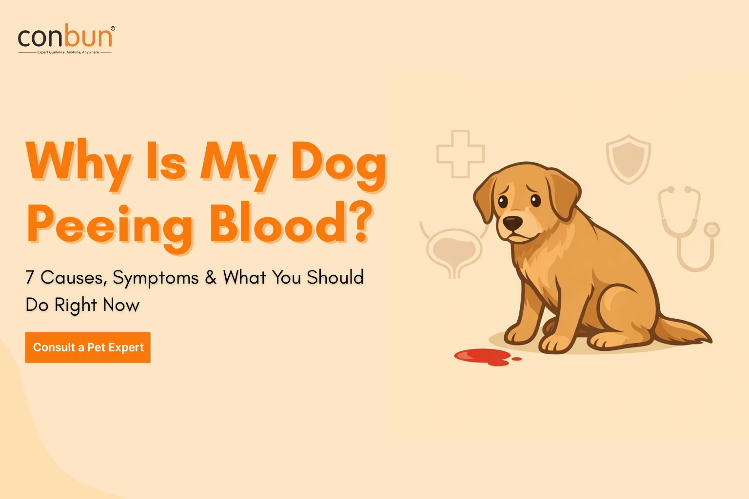  Dog Peeing Blood? 7 Warning Signs You Should Never Ignore (Vet-Reviewed)