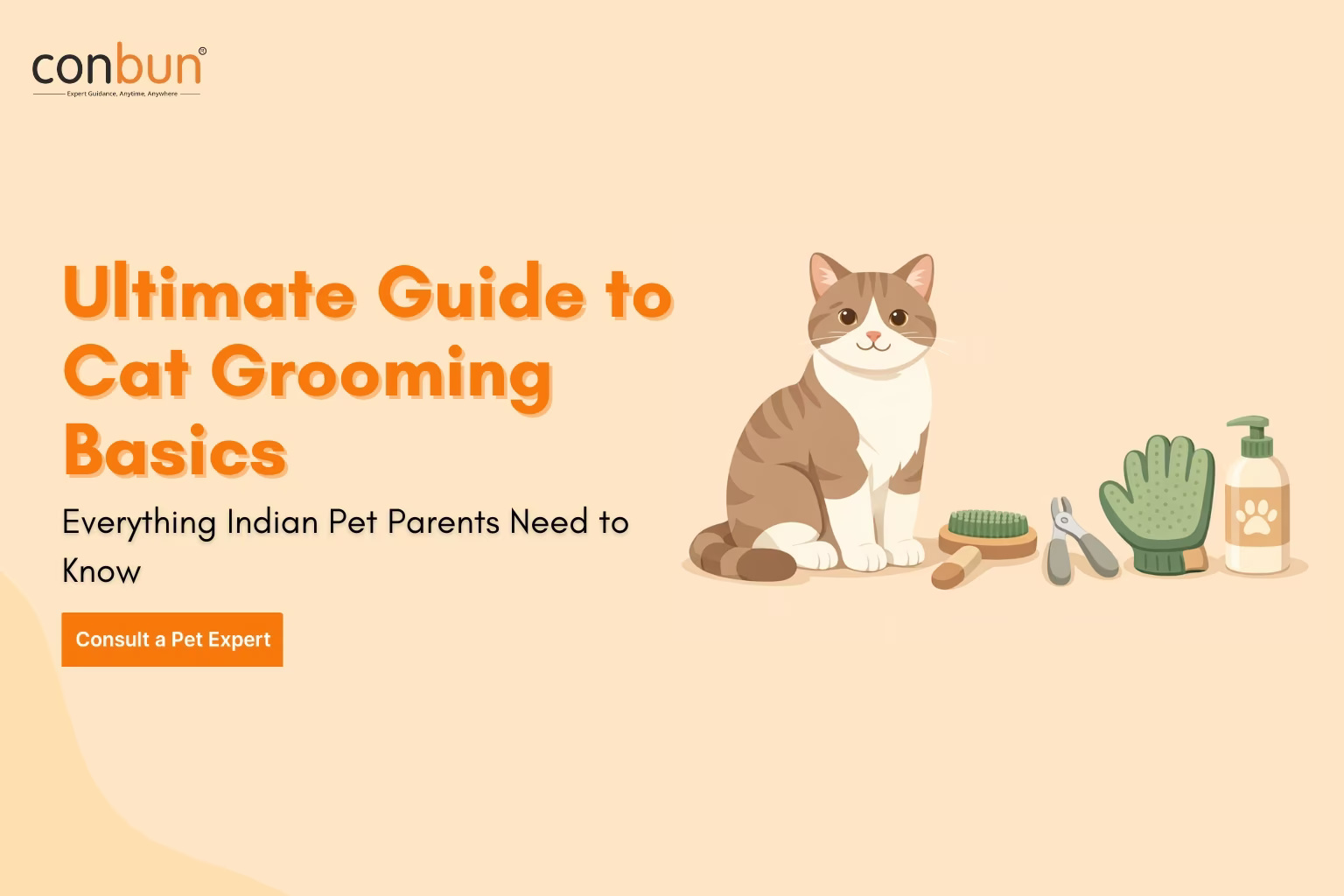  How to Groom a Cat at Home: Shedding, Bathing, Nail Trimming & Schedule Guide