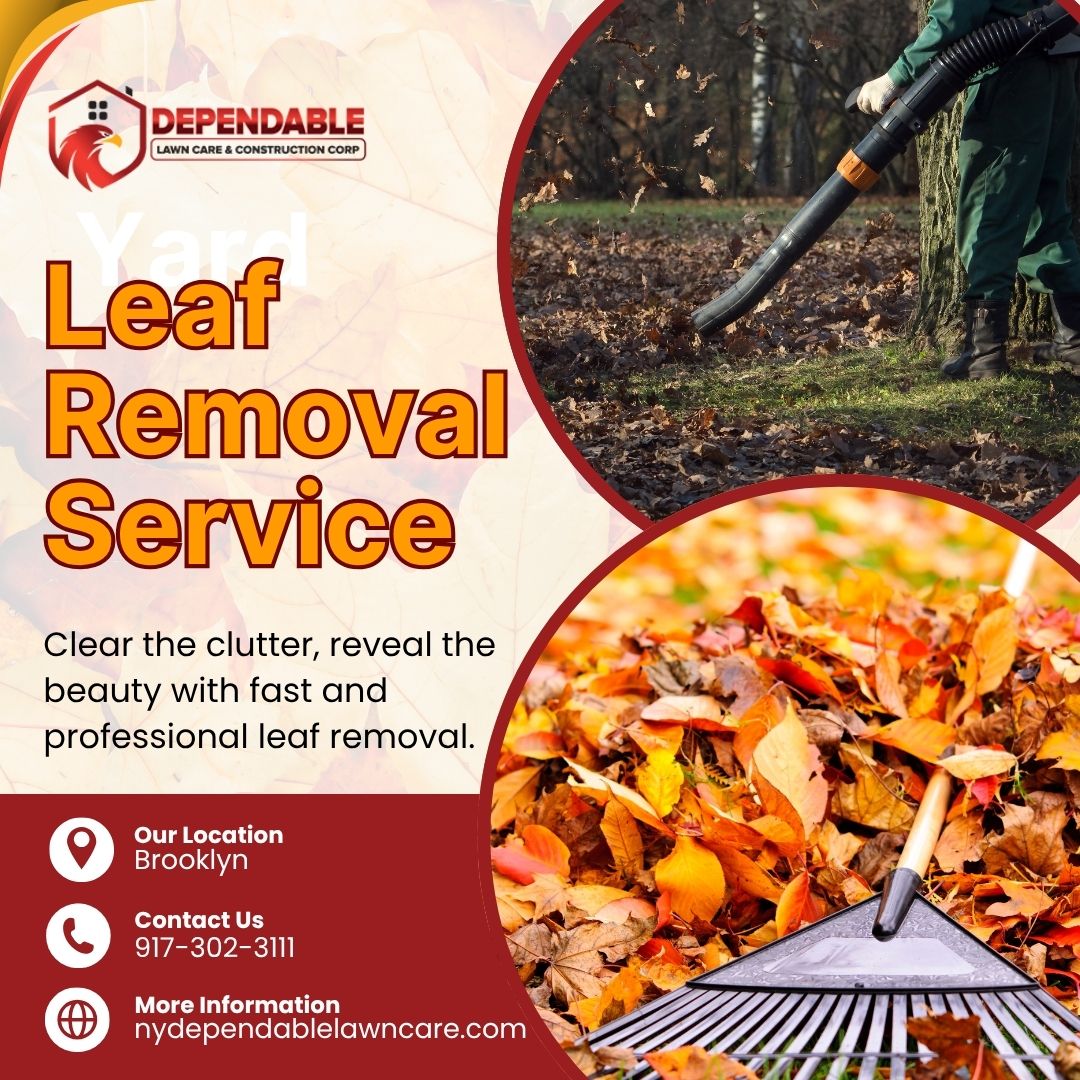  Leaf Removal Service in Brooklyn