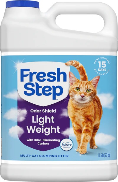  Professional Cat Grooming Essentials for a Healthier, Happier Pet
