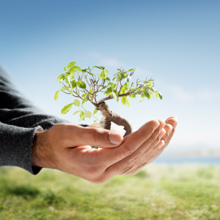  H & H Tree Services Inc.