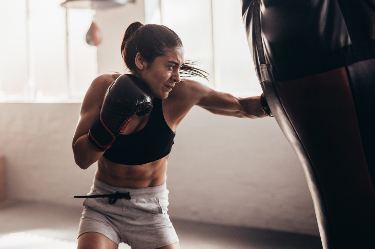  Join Top-Rated Boxing Training in Rhinebeck | Ascended Jiu-Jitsu & Yoga