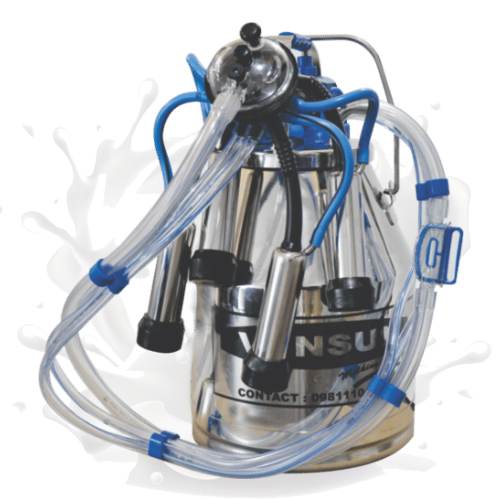  Switch to Bucket Milking in India with Vansun Milking and Cut Milking Time by Half