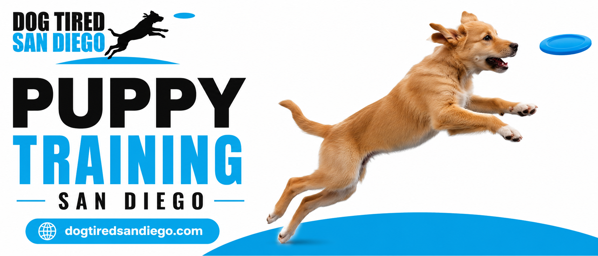  Puppy Training San Diego: Safe Playgroup Matching