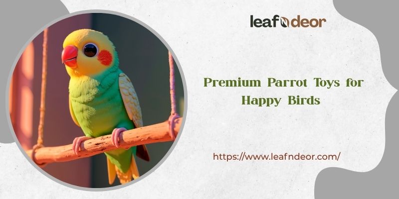  Premium Parrot Toys for Happy Birds