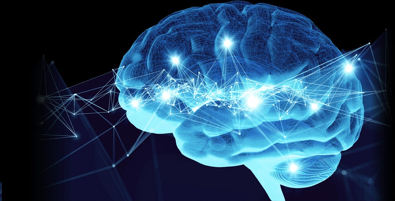  Your Brain Fitness Center: Neurofeedback Solutions for Concussion Relief