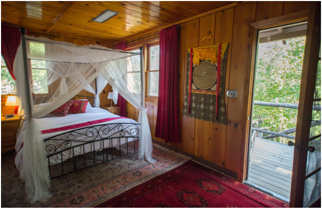  Best Hotels Near Sequoia National Forest Park With Relaxing Mountain Views