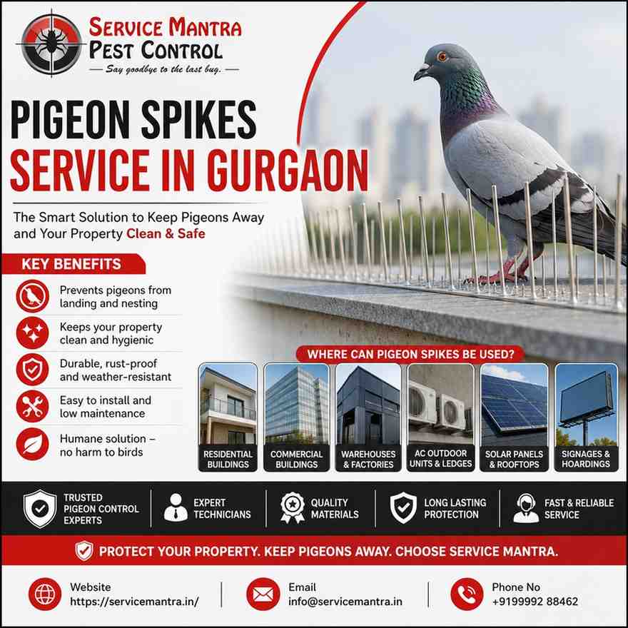  Professional Pigeon Spikes Service in Gurgaon for Homes & Commercial Buildings