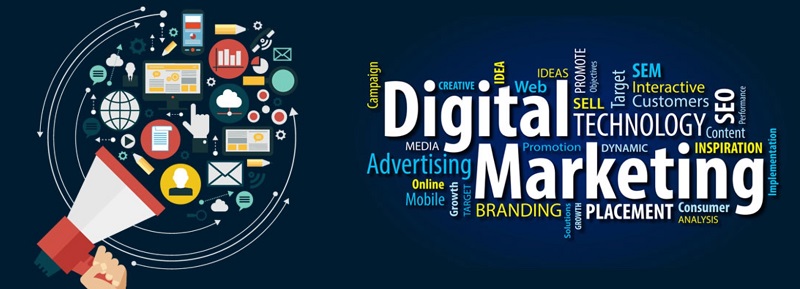  Best Digital Marketing in Noida for Business Growth