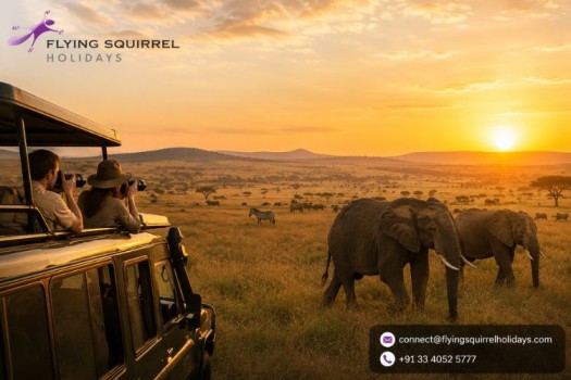  Luxury Masai Mara Tour Package from Kolkata – Premium Kenya Safari Experiences