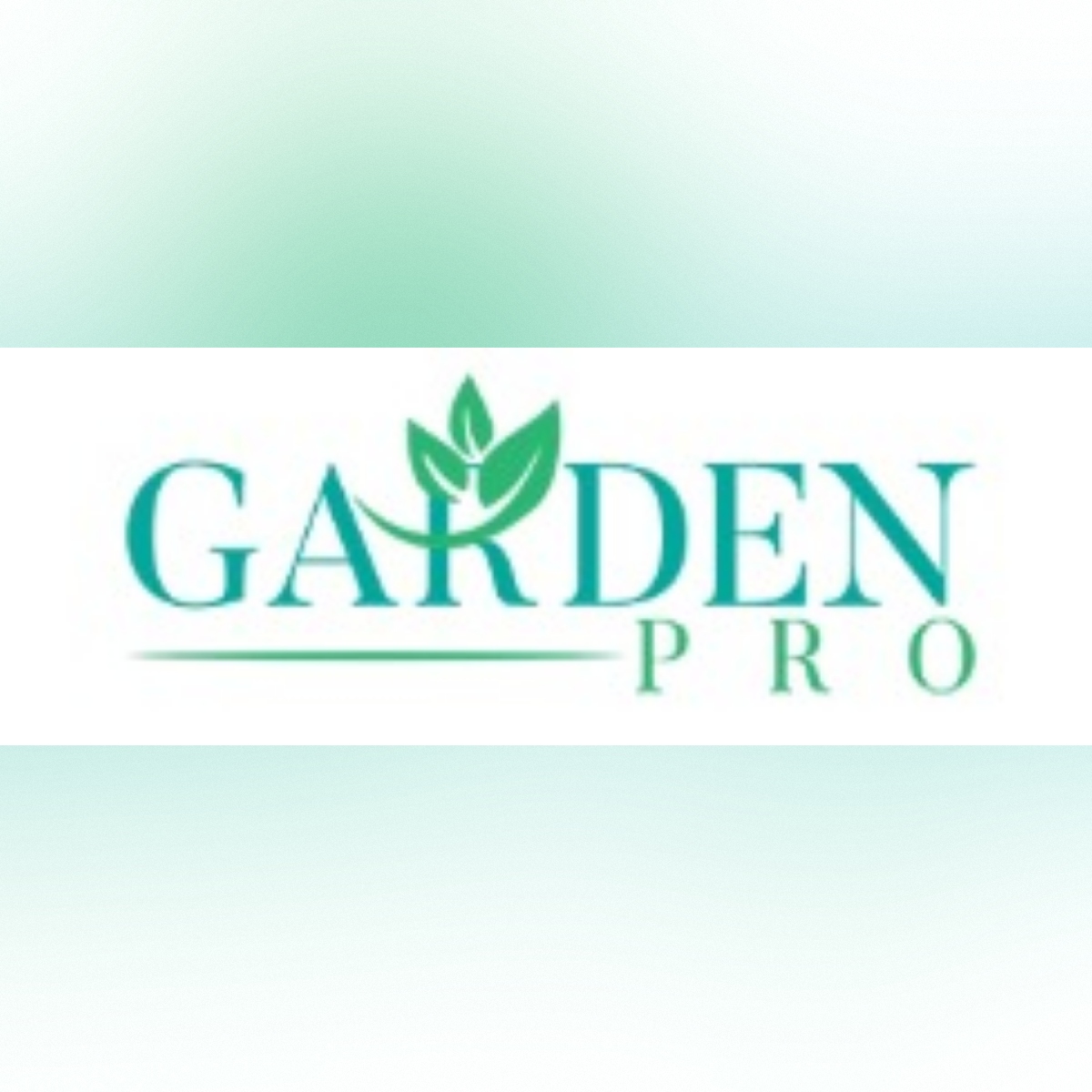 Tree Stump Removal Services Dublin Ireland