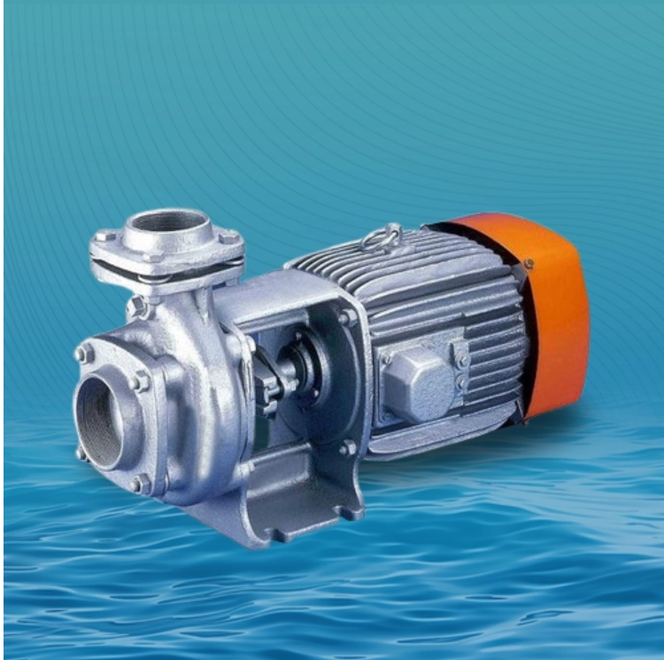  Reliable Monobloc Pump Manufacturers for Every Industry