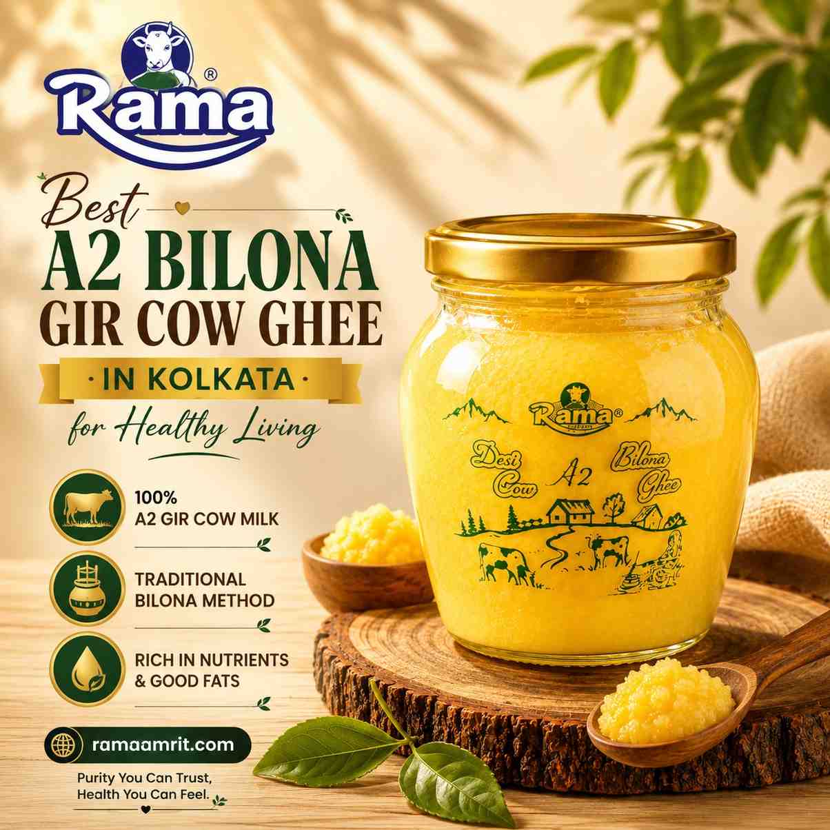  Best A2 Bilona Gir Cow Ghee in Kolkata for Healthy Living