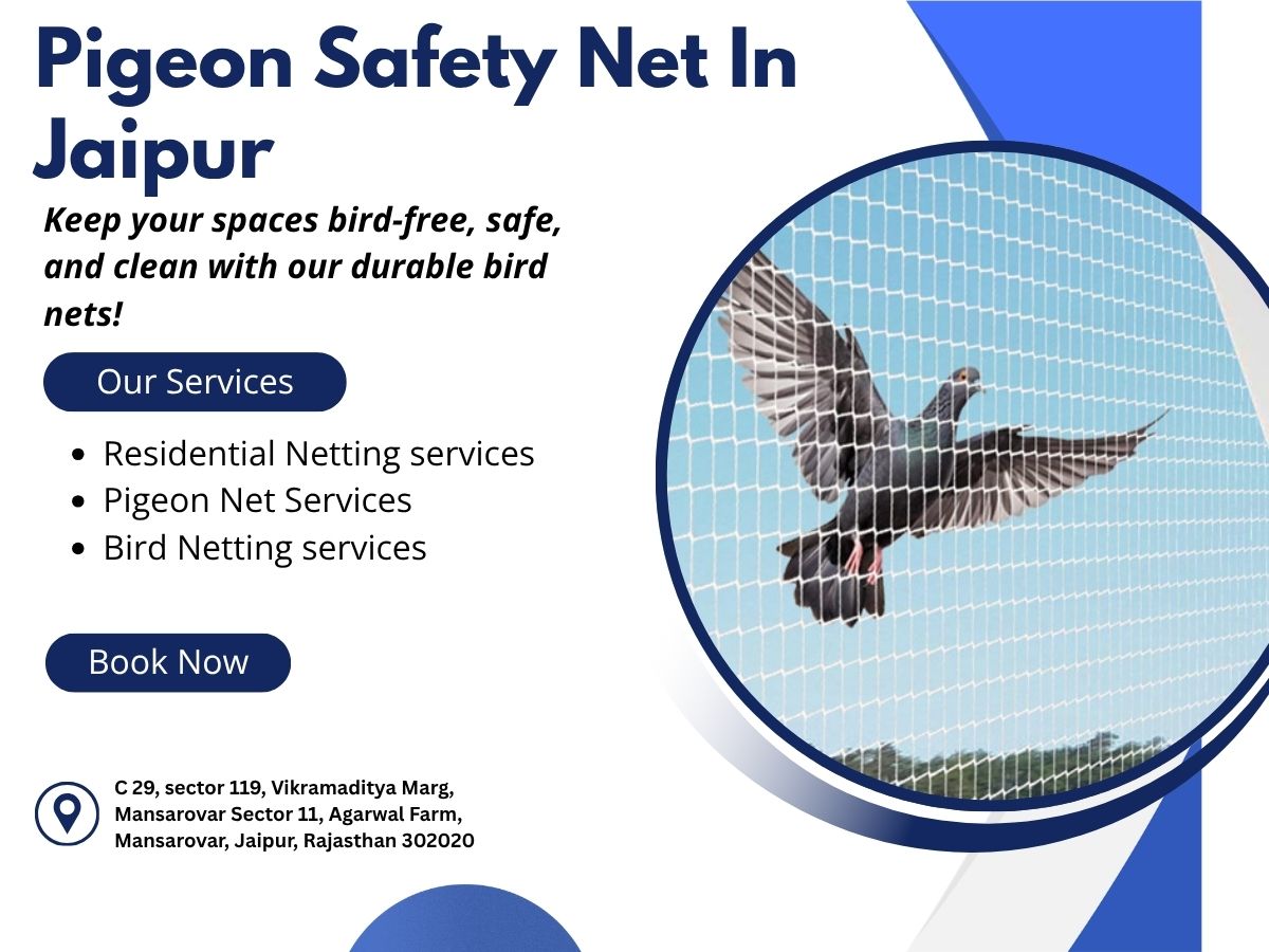  Pigeon Safety Net in Jaipur Experts