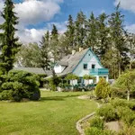  Tree Stump Grinding Service