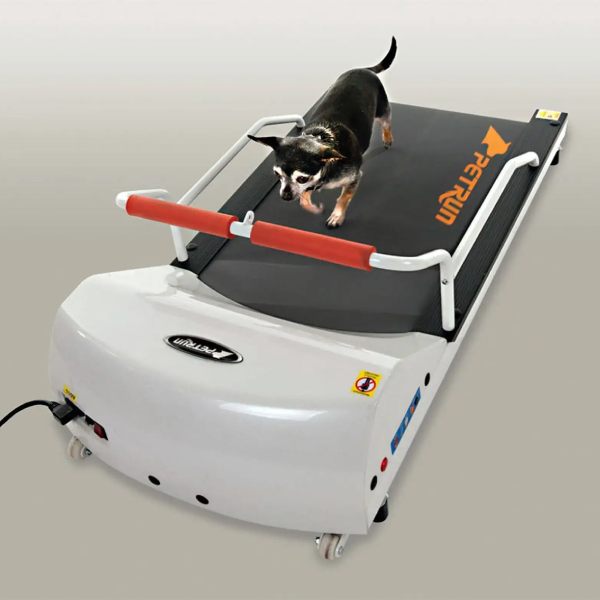  GoPet Treadmill for Small Dogs | Dog Running Machine for Sale