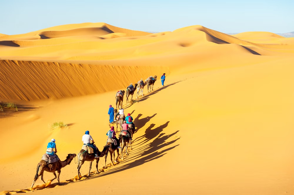  Enjoy the Beauty of Rajasthan at a Desert Camp in Jaisalmer