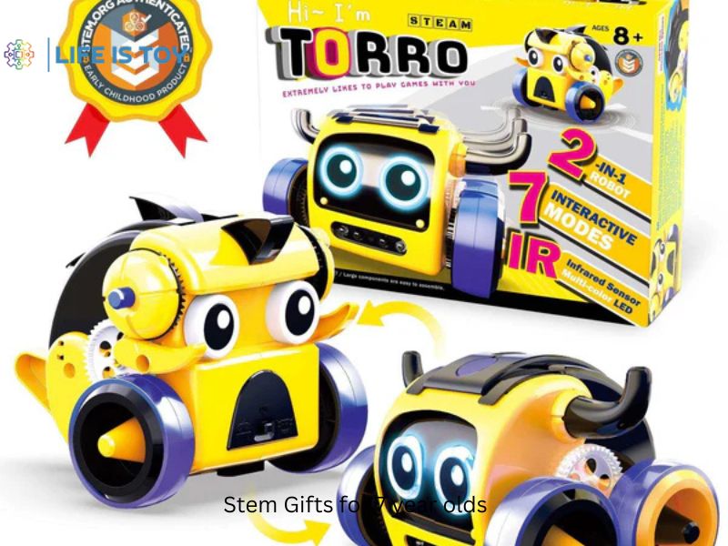 Smart Learning Starts with STEM Gifts for 7 Year Olds