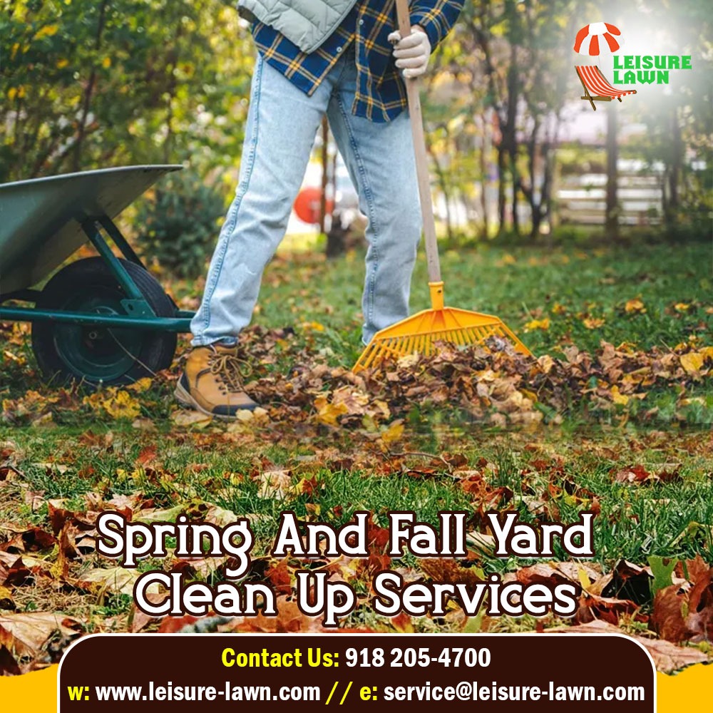  Cleaning up the yard in spring and fall seasons
