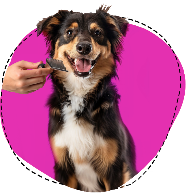  Naughty Dogs Professional Mobile Grooming Services