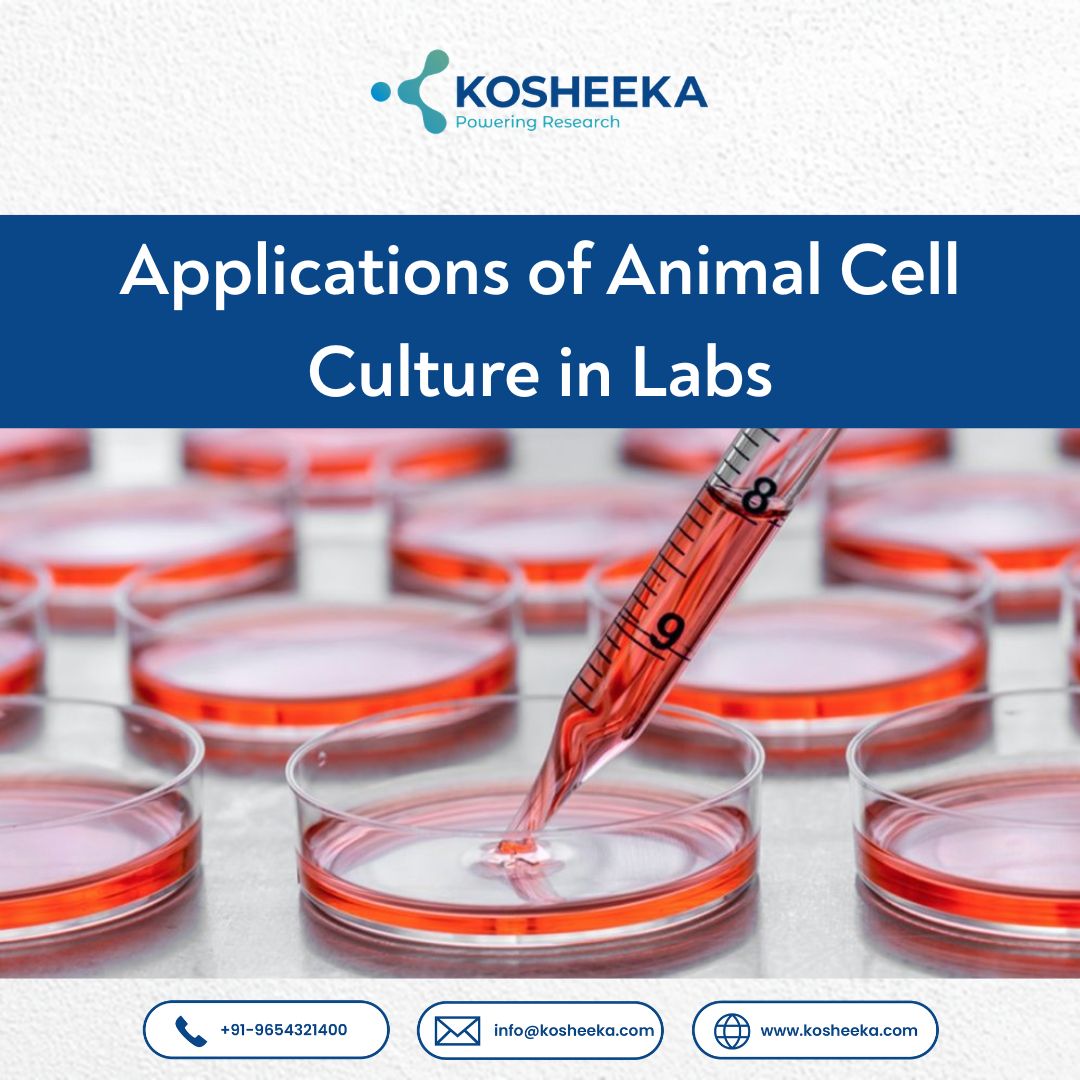  Applications of Animal Cell Culture in Labs