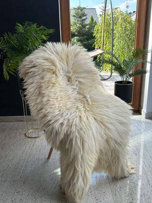  Fluffy sheepskin Heidschnucke - Rugs/Natural decoration, 50€