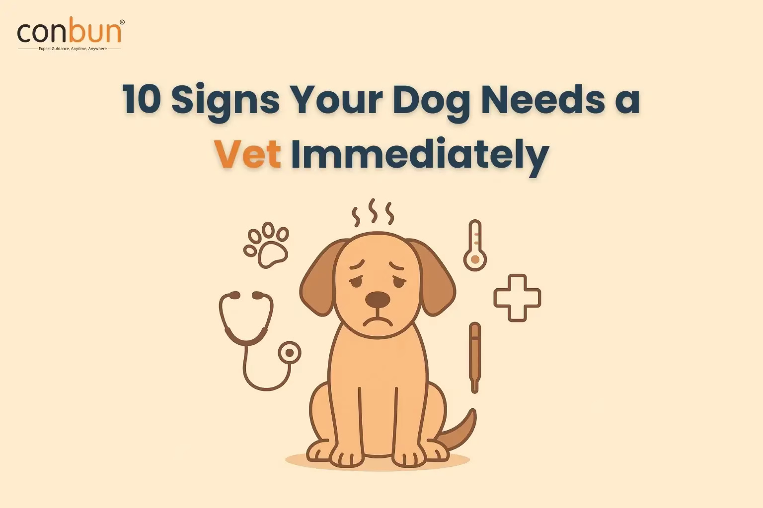  10 Signs Your Dog Needs a Vet Immediately