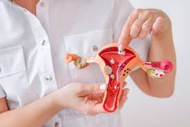  Uterine Fibroid Embolisation – Safe & Minimally Invasive Treatment | IRFacilities
