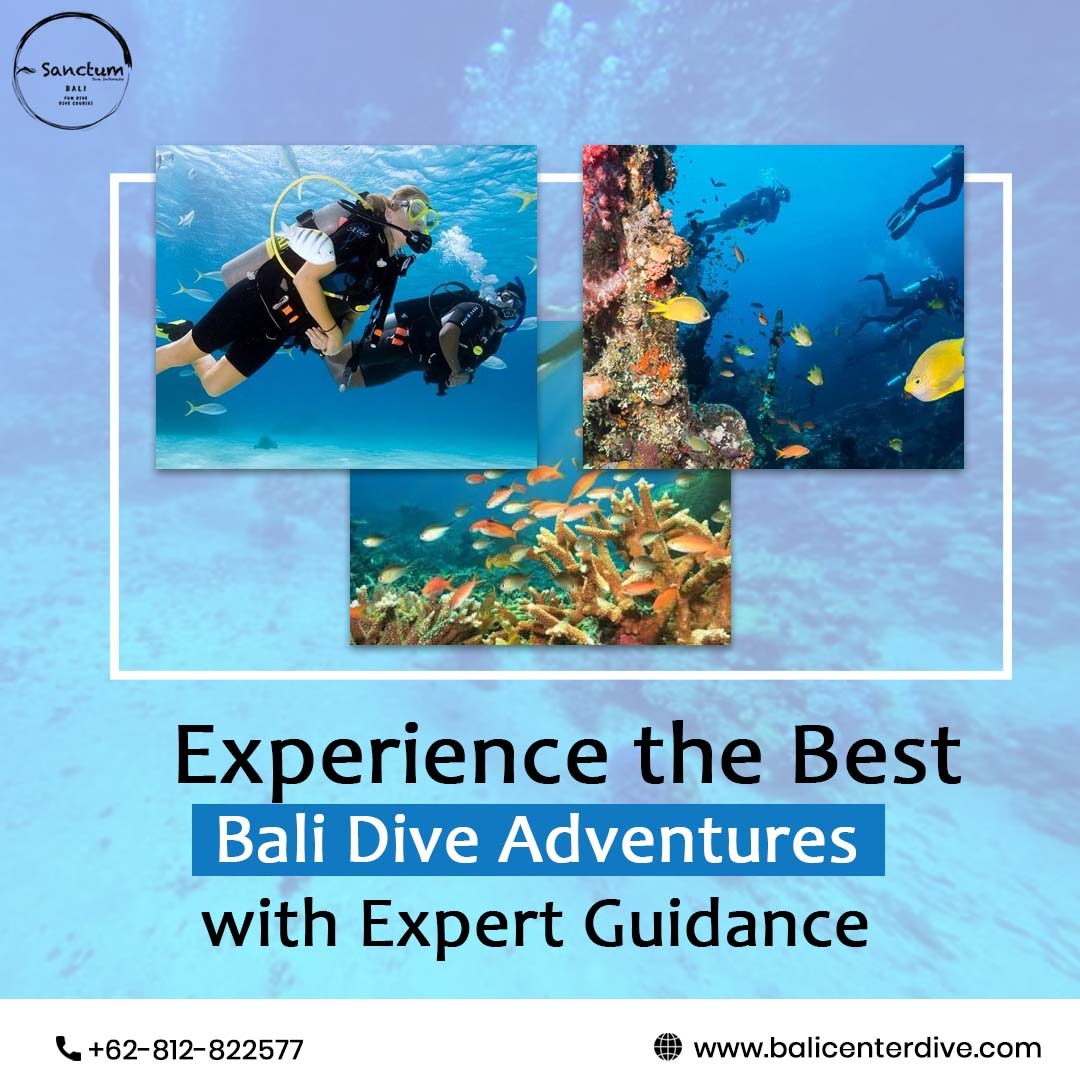  Explore Dive Indonesia Adventures with Expert Dive Guides
