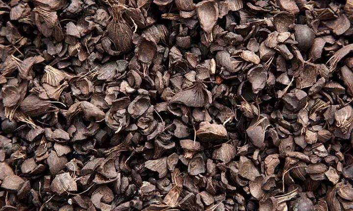  Palm Kernel Shell