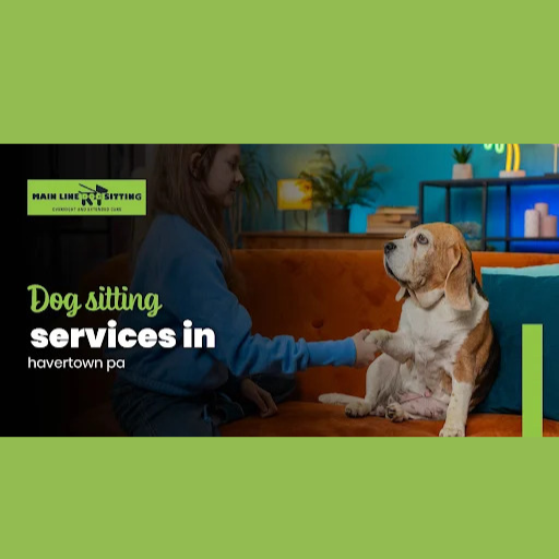 Professional Dog Walking Services in Havertown, PA
